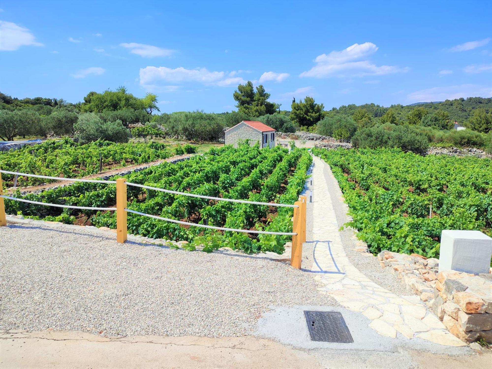 Stone House In Vineyard Villa Račišće Bagian luar foto