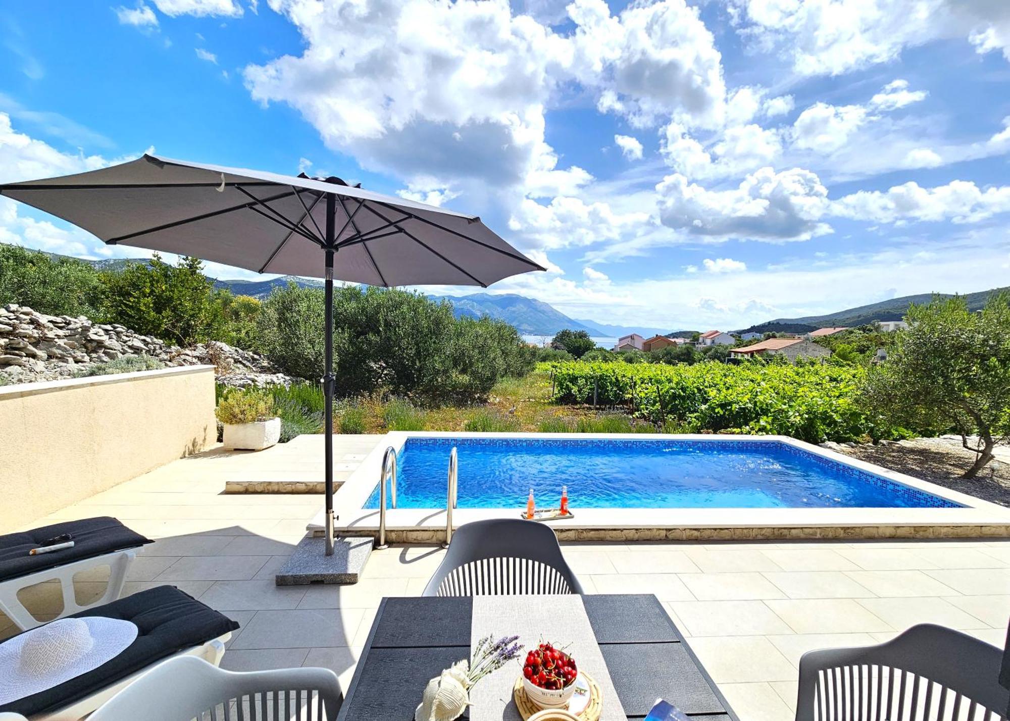 Stone House In Vineyard Villa Račišće Bagian luar foto