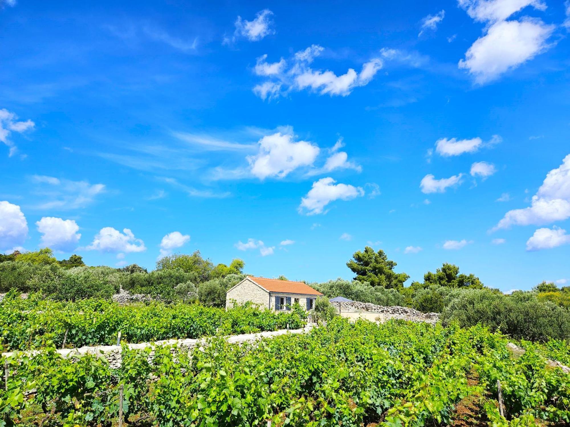Stone House In Vineyard Villa Račišće Bagian luar foto