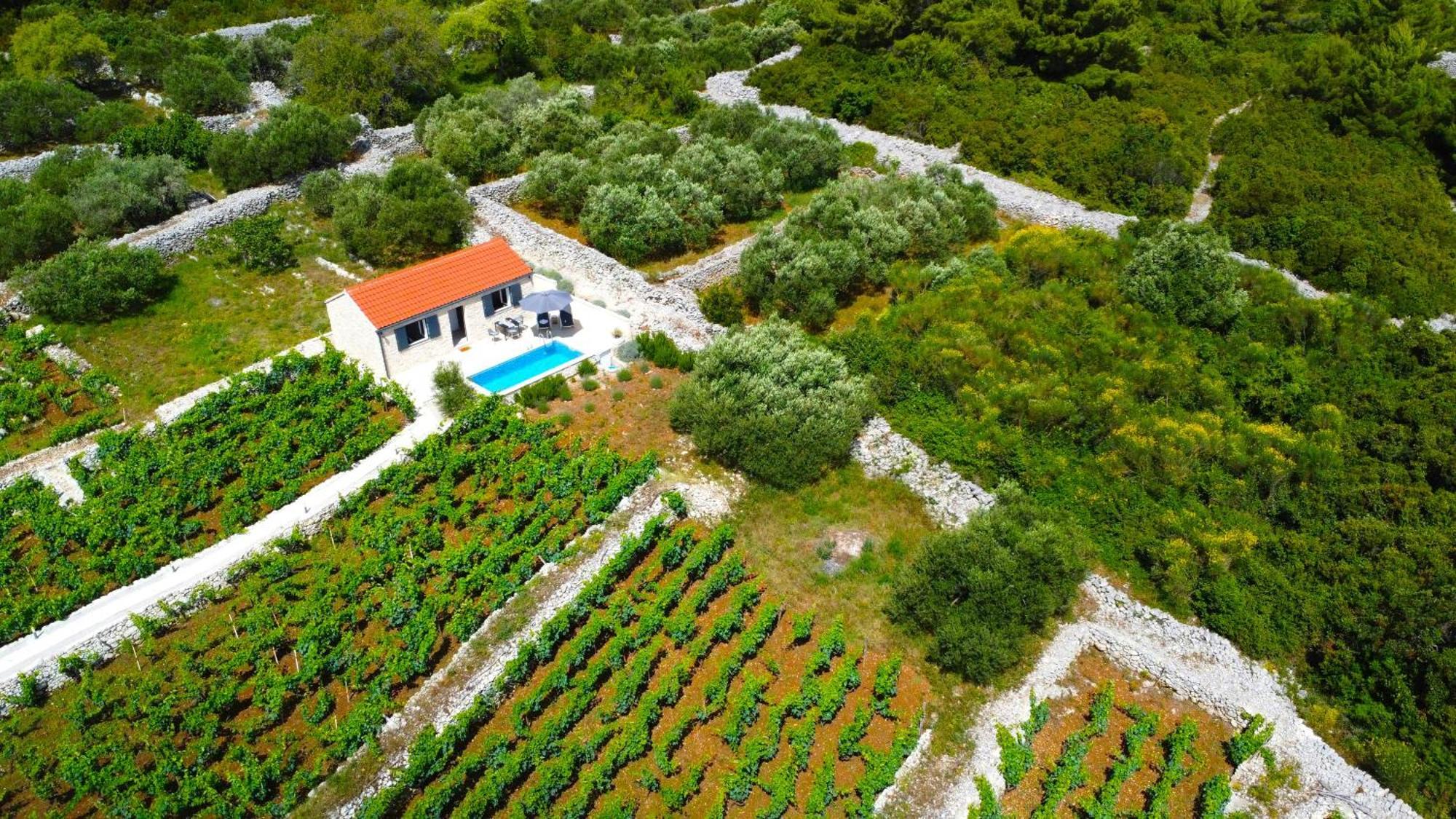 Stone House In Vineyard Villa Račišće Bagian luar foto