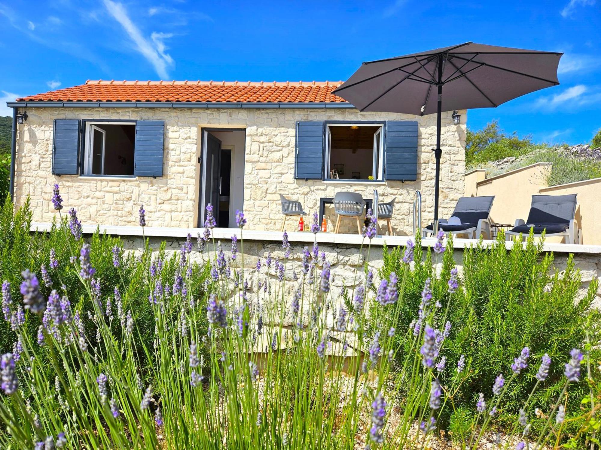 Stone House In Vineyard Villa Račišće Bagian luar foto